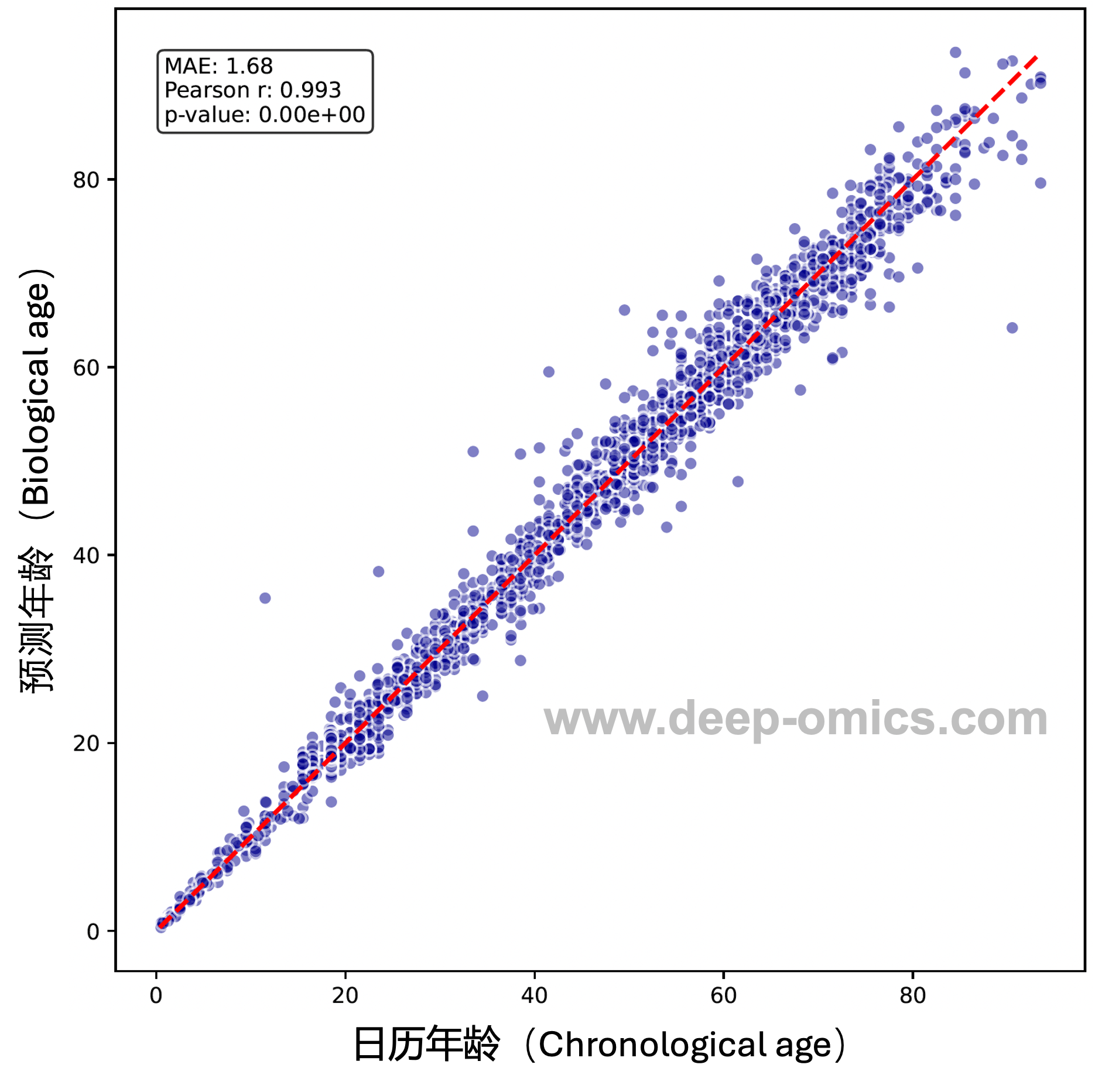 MetaAge accuracy and validation performance